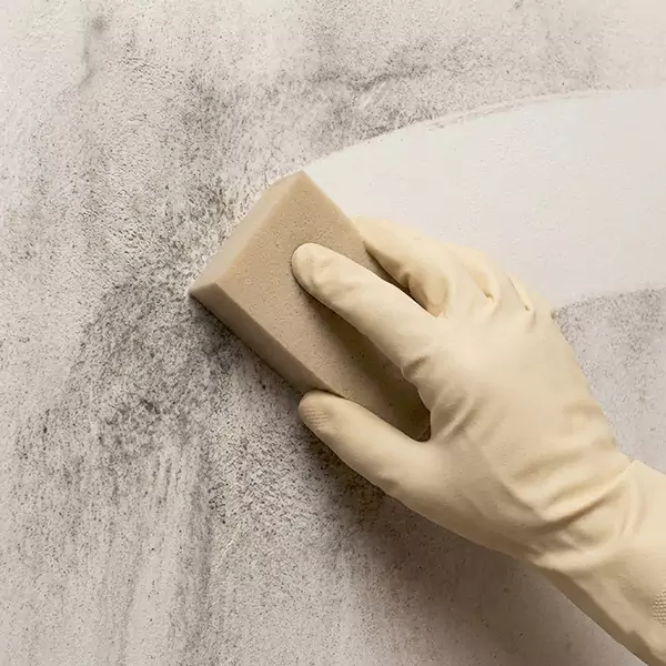 Smoke Cleaning in Irving, TX 