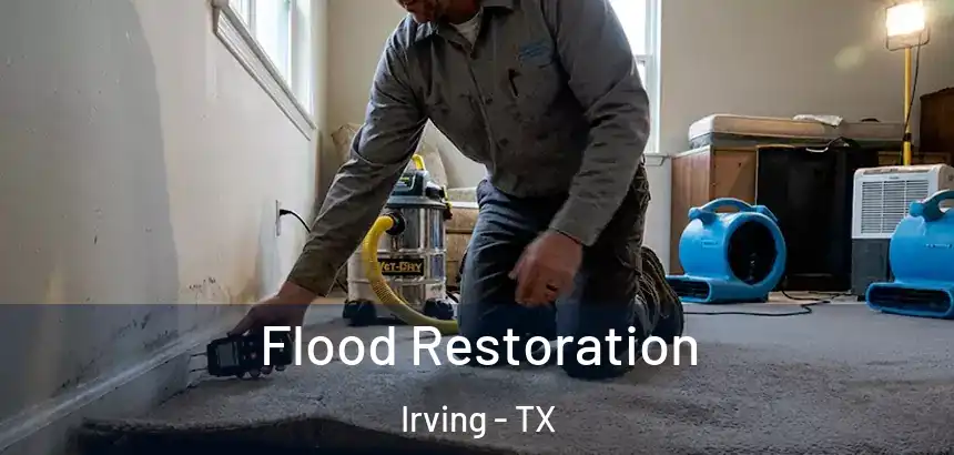  Flood Restoration Irving - TX