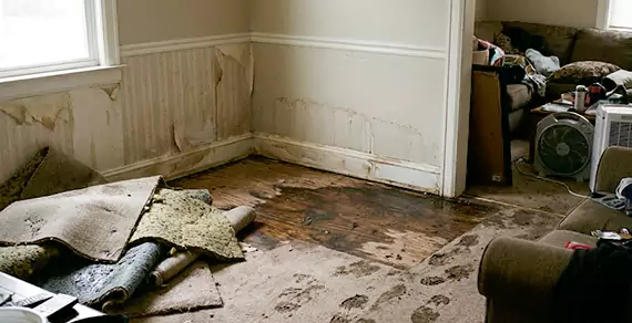 Why Choose Irving Water Damage Pro For Water Damage Restoration Services in Irving, TX?