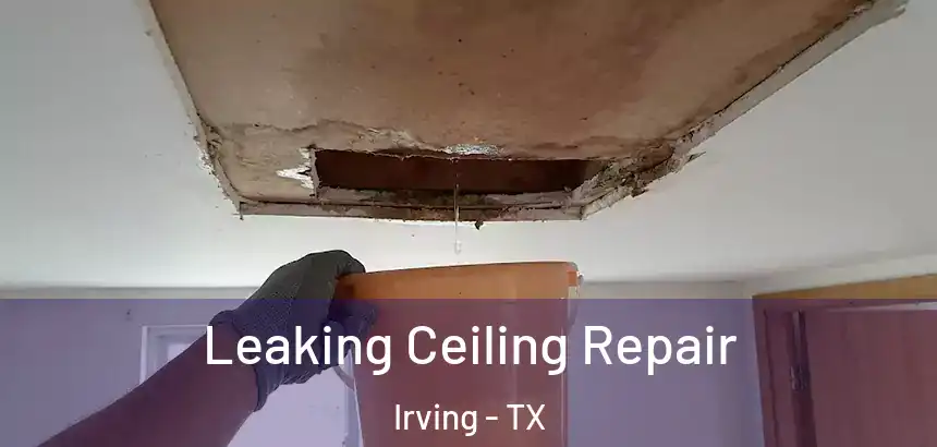  Leaking Ceiling Repair Irving - TX