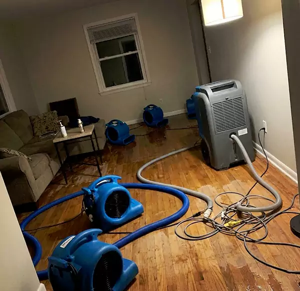 Why Homeowners & Businesses Choose Irving Water Damage Pro for Emergency Water Restoration in Irving, TX?